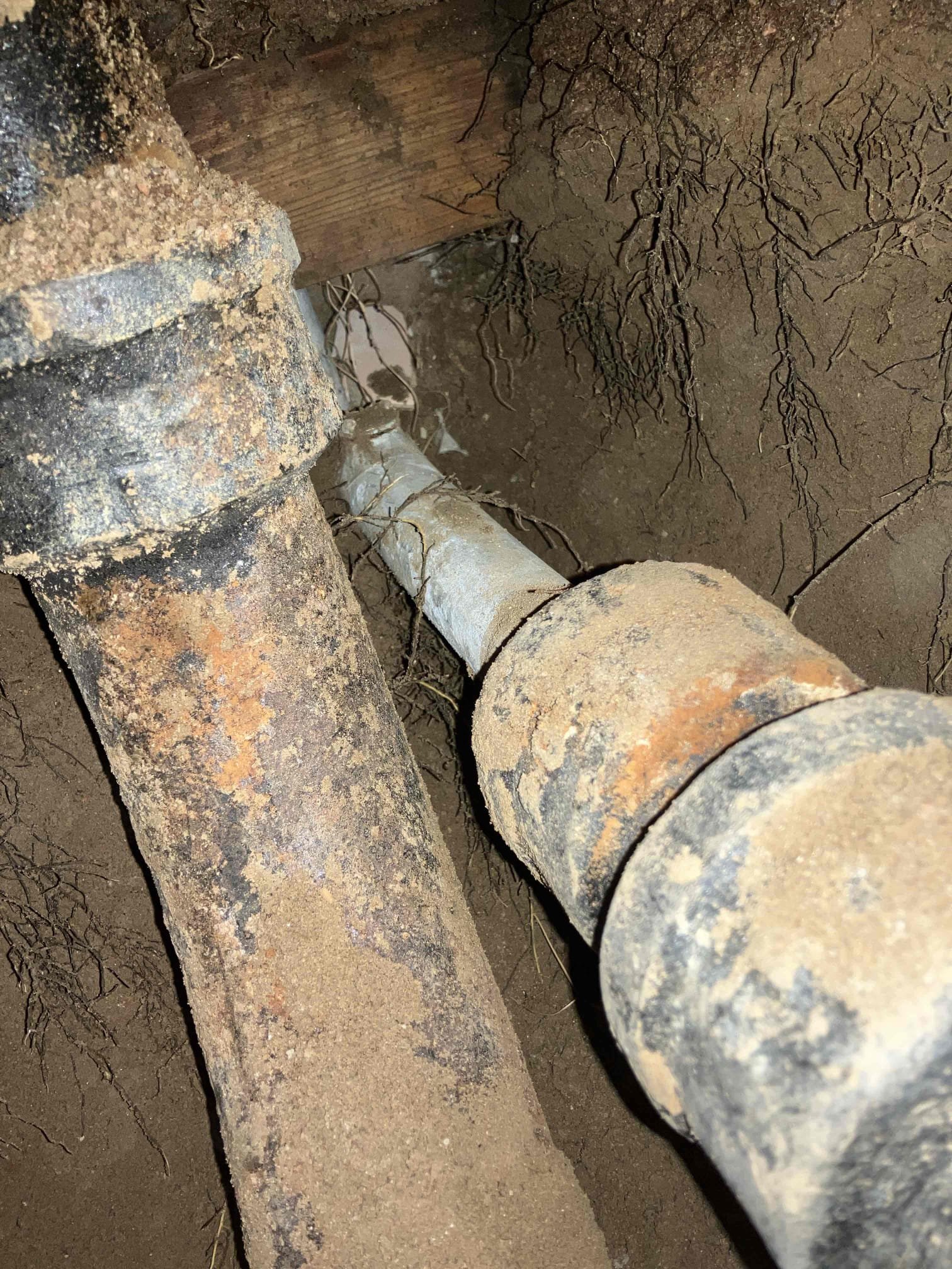 Daniel Calvo, Desmond Marshall, Master Diggins, Matthew Brown