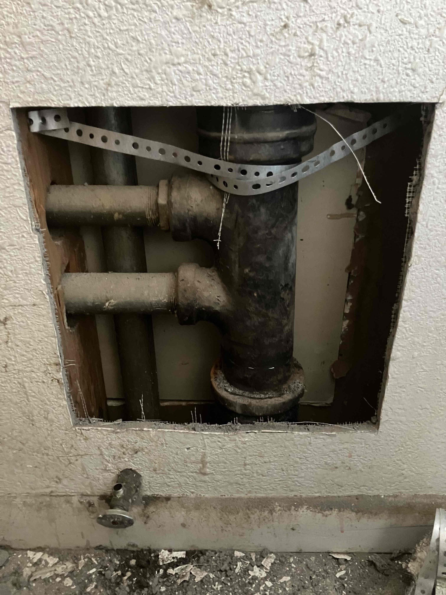 Desmond Marshall, Dominick Calvo, Jose Cuevas, Leslie Tompkins, Luis Leiva