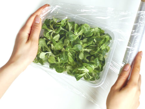 Two hands are covering a plastic container filled with fresh green leafy vegetables using a sheet of clear plastic wrap. The scene is set against a plain white background. | High 5 Plumbing, Heating & Cooling
